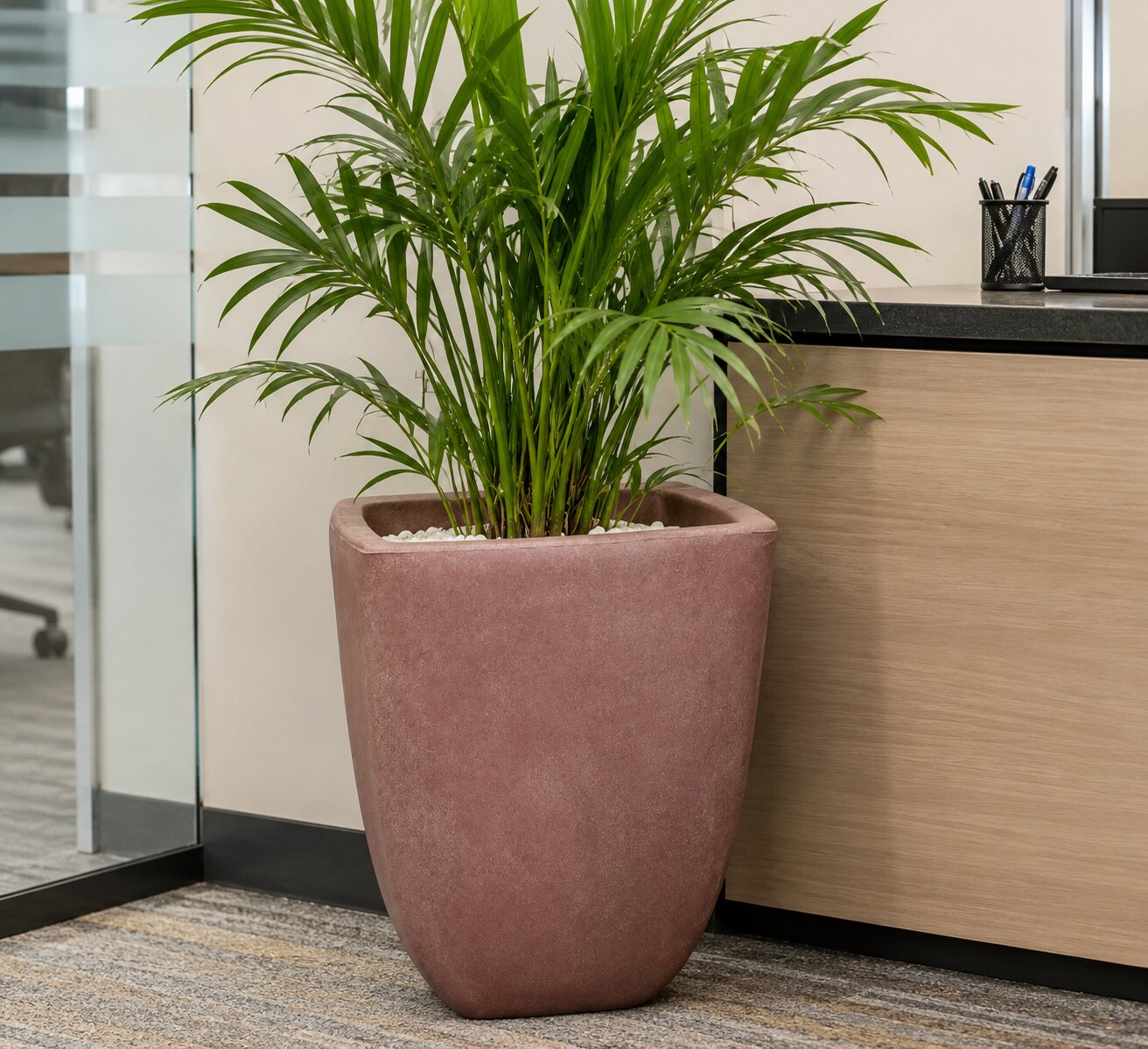 Jelka L Planter